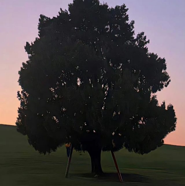 青蛙叫！呱！（短信，通知铃声）