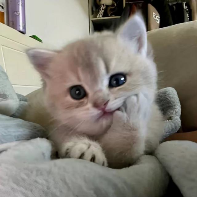 DJ小智制作（小K） 《一点》（DJ小智Remix）