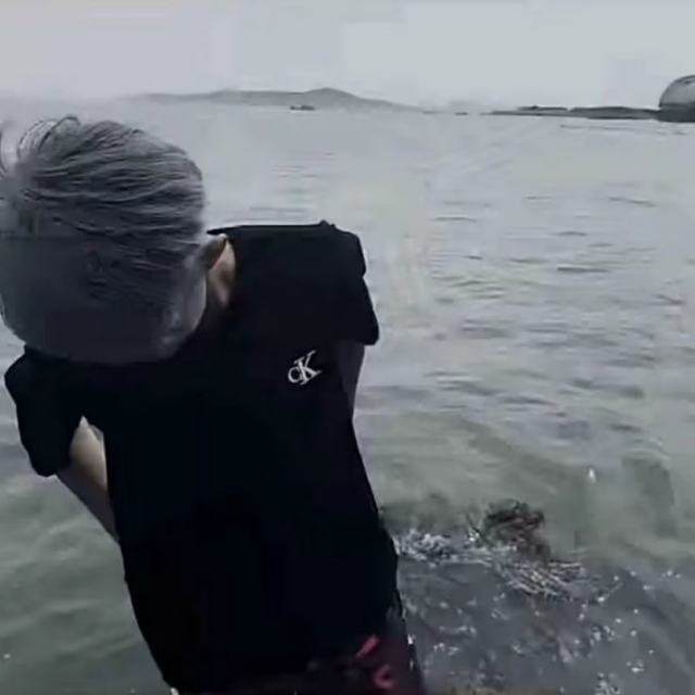 【旋律DJ】一个人即使已爬山顶峰 也仍要自强不息.