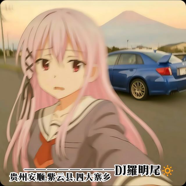 （DJ罗明尾Remix）〖羅明尾🎖苏婷🎀〗.——【DJ旋律Vol0.6】KS DY魔怔串烧（DJ罗明尾Remix）