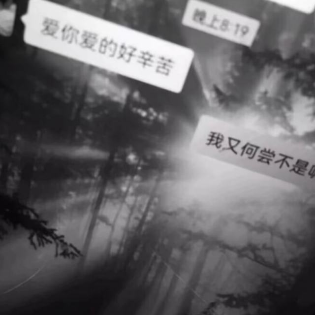 【黑夜问白天】你在爱里风生水起 我在遗憾里抬不起头.