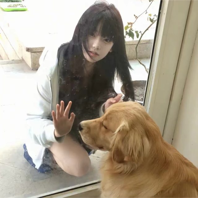 【旋律𝘿𝙅】我不抽象搞什么 抽你你受得了吗。