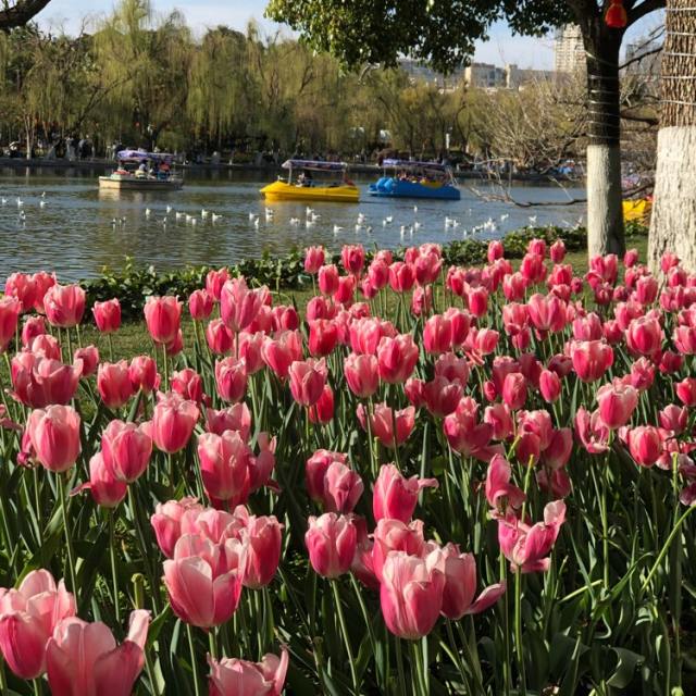 〈心做DJ版〉总有一天我们会幸福到记不起对方。