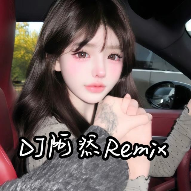 苏毅然🐊.——【精品推荐】土坡上的狗尾草 DJ车载 2024〈DJ阿然Remix〉