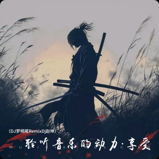 精彩赵坤.❗——【抖音热播】晚风失约DJ热播Rmx九零版