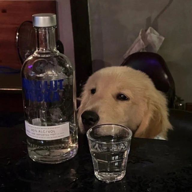 杨千嬅 - 【命硬（粤语）】