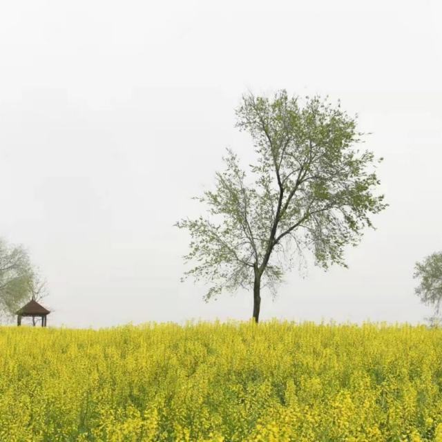真心很贵你别逢人就给