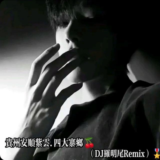 苏婷🎀——.【精品推荐】 因为爱情 2025 抖音新版旋律DJ中文（DJ罗明尾Remix）