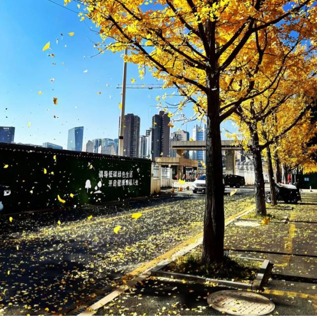 〈思念是一把刀〉 从撕心裂肺到云淡风轻，原来这就是成长的代价，谢谢你让我学会如何体面的放下。