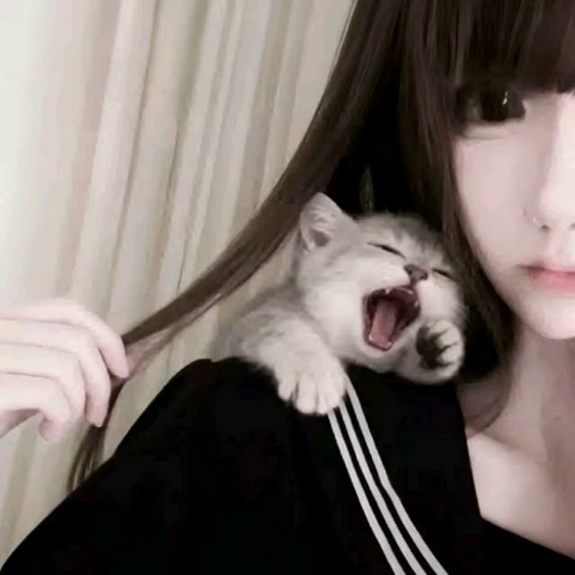 不需要拥有很多东西 拥有能令我开心的东西就够了 比如你