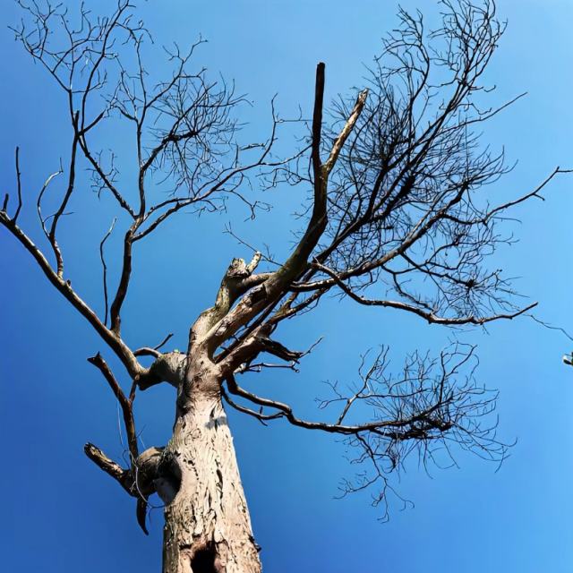 【深夜emo金曲】-生活会告诉你努力赚钱经营好自己比什么都重要趁还年轻谈什么岁月静好有空多挣钱没事少矫情因为活着的真的很贵成年人