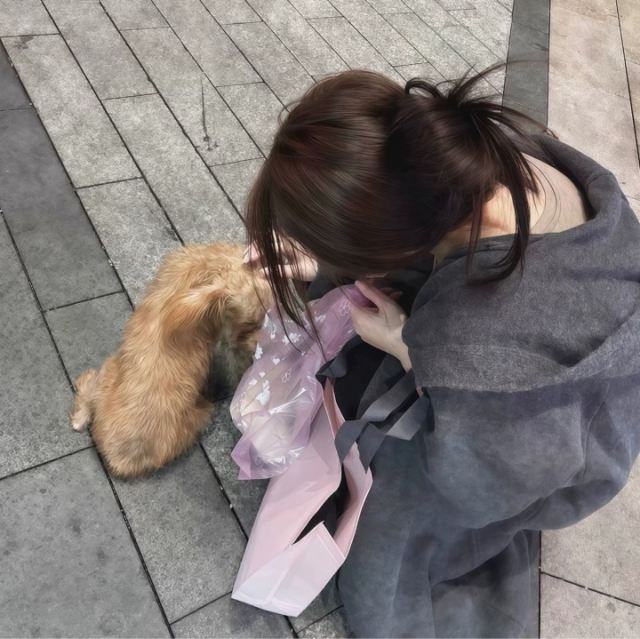 钱没了可以再挣 朋友没了可以再交 爱情没了可以再遇 我本就一无所有 又何惧重新开始