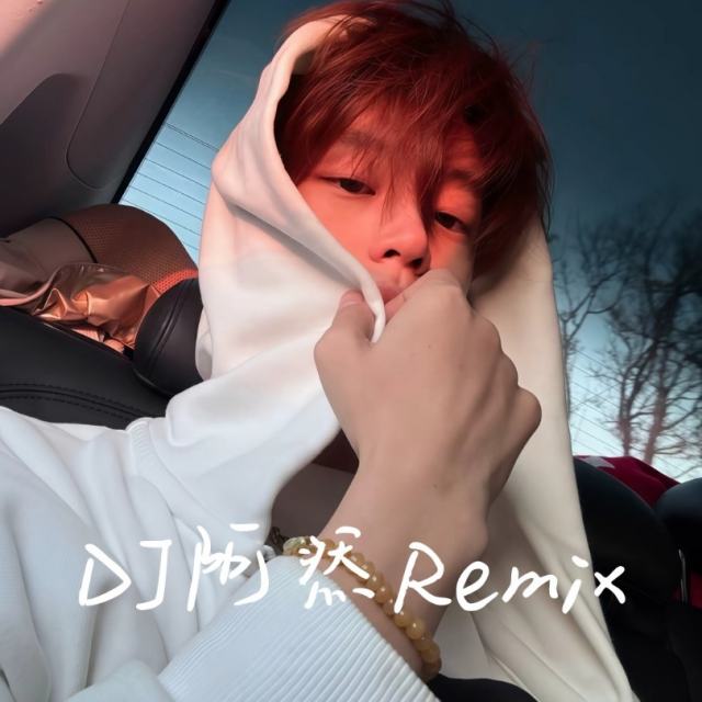 苏毅然🐊.——【精品推荐】讲不出再见 DJ旋律 2025〈DJ阿然 Prog House Remix〉