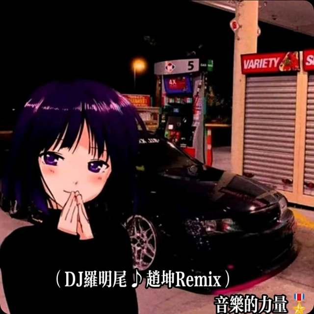 精彩赵坤.❗——【抖音热播】如果让你重新来过你会不会爱我（DJ版）