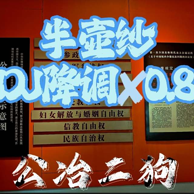 半壶纱（DJ降调✘0.8）