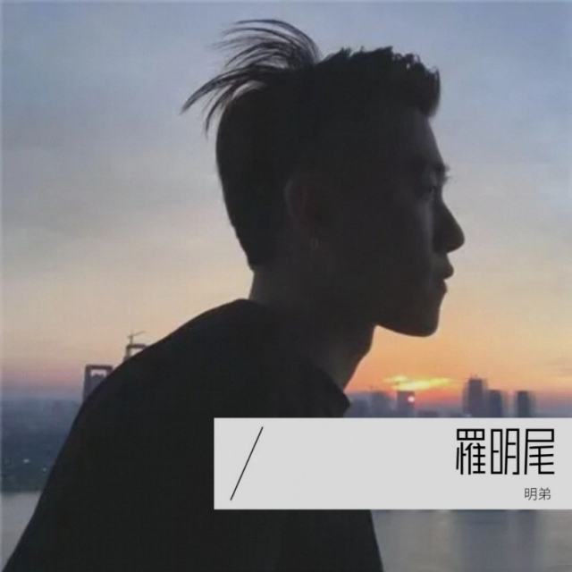 苏婷🎀.——【精品串烧】- 国粤语Electro音乐《失语者+等你等到我心痛》串烧_