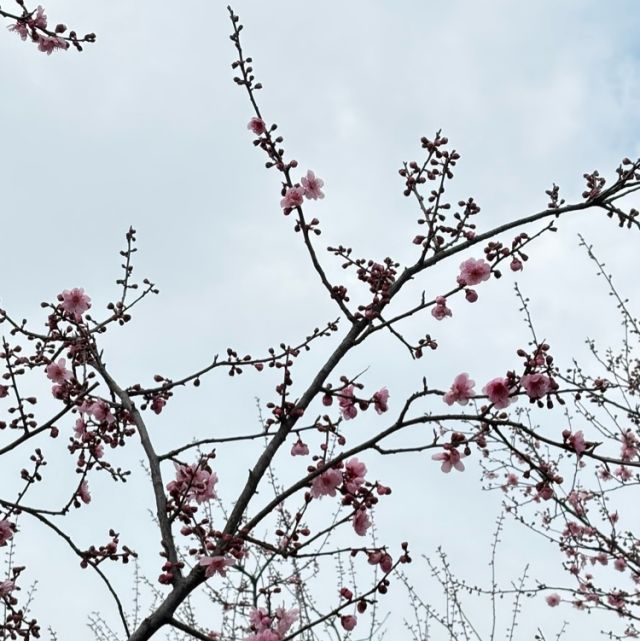 我记得我爱过（像中枪一样沉溺版）