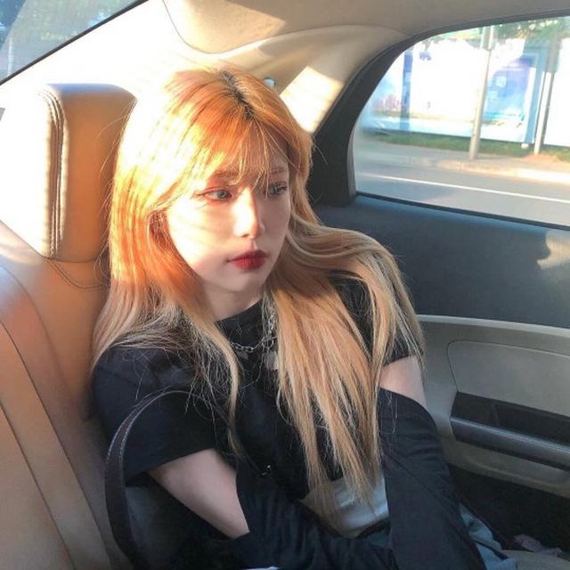 蝉诗语 - One Last Time