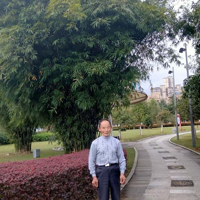 支付宝到账200元