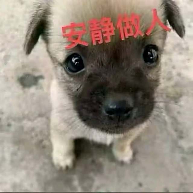 人不可能每一步都正确  与其重新不如从心