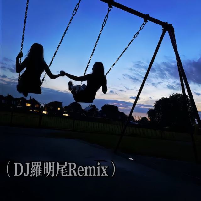 〖羅明尾🎖苏婷🎀〗.——【DJ精品旋律】- 斑马V777（DJ罗明尾Remix）
