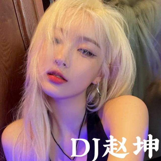 苏婷🎀.——【抖音热播】勇气 DJ弹鼓 新旋律