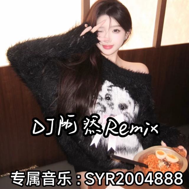 苏毅然🐊.——【精品推荐】半点心 2024 新版〈DJ阿然Remix〉