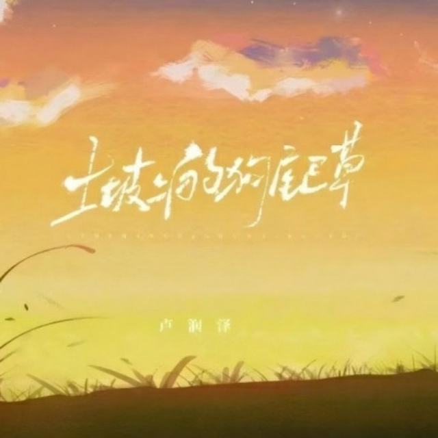 卢润泽、宫巴-土坡上狗尾巴草(Dj沈念Remix)完整版