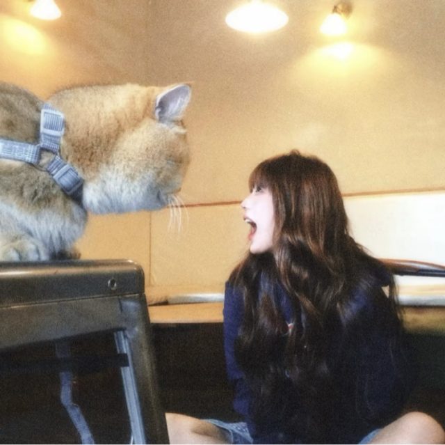 【嗜好】任何一段关系长久的关系需要彼此都知道对方的好并时常感恩.