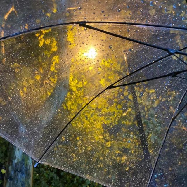 【我还记得那天】：惆怅的枫叶，拍过我的肩，寂寞的枫叶，在你的身边.