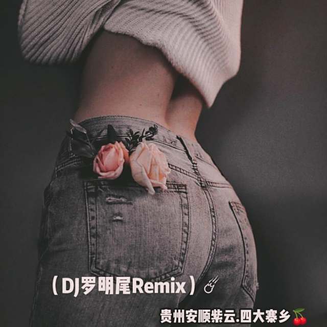 苏婷🎀——.【串烧精品】网友专属定制-我不祝你有飘摇的船 我祝你有可信任的岸.（DJ罗明尾Remix）