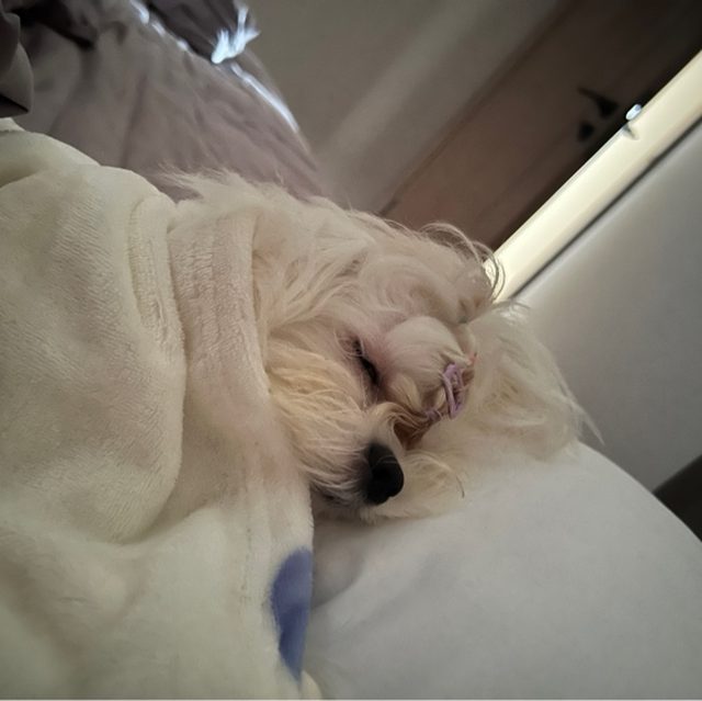 ALLDAY PROJECT & ANNIE & WOOCHAN - WHERE YOU AT