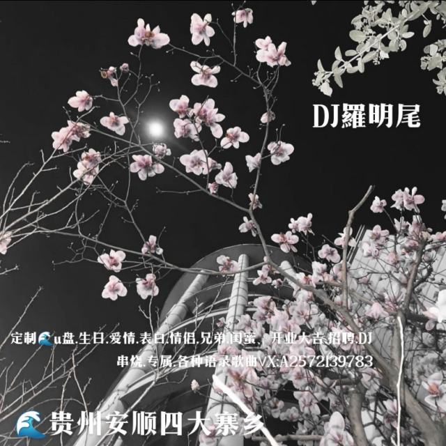 羅明尾🌊TD苏婷🎀——【别让女司机听哭了℡】《默+越狱+爱情过客+一亿个伤心》（串烧车载DJ）