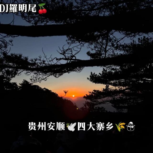 羅明尾🌊——【春风何时来】抖音流行中文DJ串烧🍒