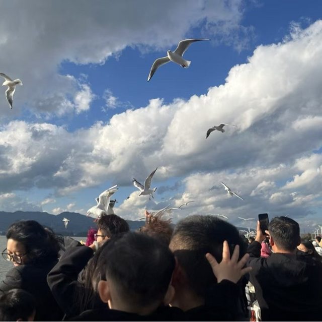 一生不变(电视剧《蓝月亮》主题曲)