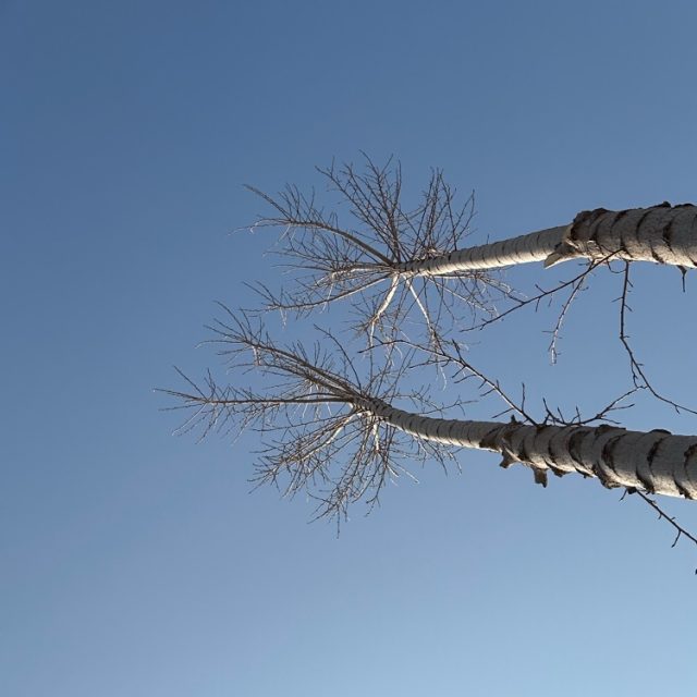 顶级心态（励志语录）清晨必听版