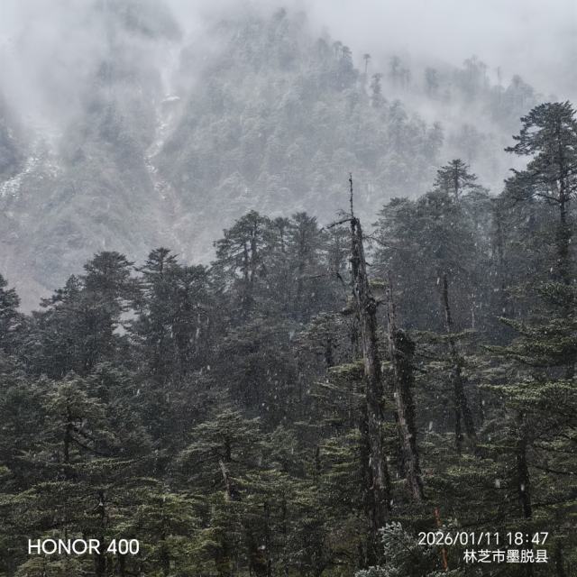 新歌榜——大风在刮大雪在下