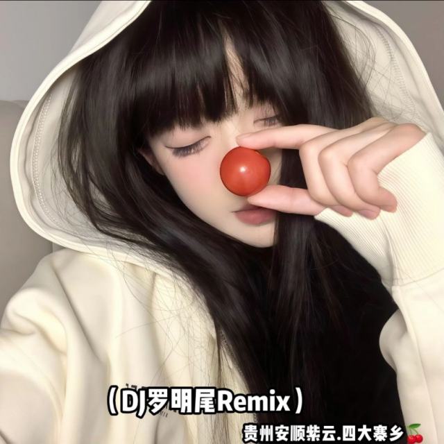 苏婷🎀——.【精品推荐】 壁上观＋春庭雪 DJ 2024 抖音热播（DJ罗明尾Remix）