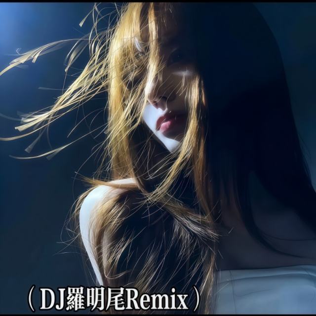 羅明尾❗——.【弹鼓旋律】- 雨过后的风景（DJ罗明尾Remix）