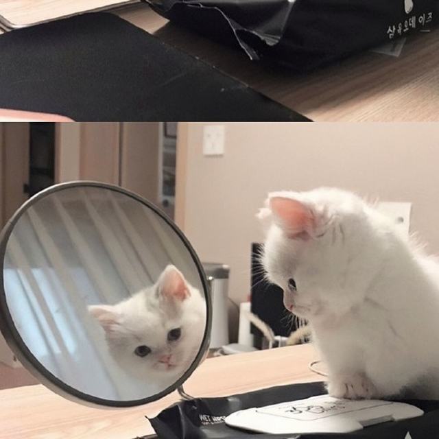 想某人 (DJ版)很想某人 我最思念的某人