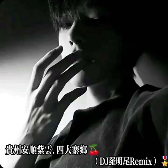 苏婷🎀——.【精品推荐】 输给我的话就是我的人 2025 抖音优美旋律DJ（DJ罗明尾Remix）