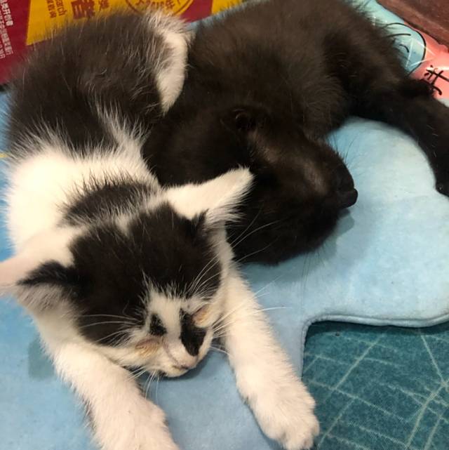 美美桑内美美桑内