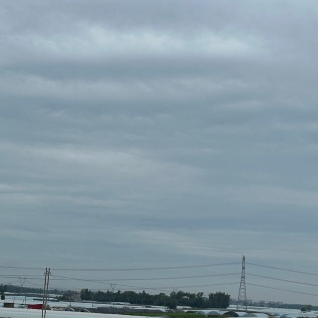 一身傲骨入世俗 - 王虹-王棚主