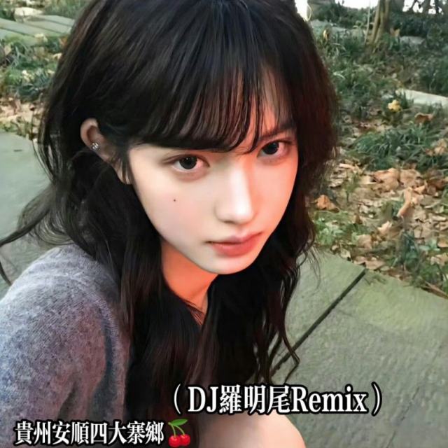 苏婷🎀——.【中文弹鼓】六点半又杀疯了（DJ罗明尾Remix）