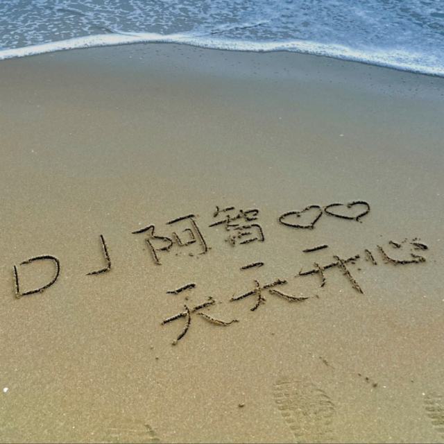 DJ阿智 - 蓝心羽-寂寞烟火（Dj阿智 ProgHouse Mix国语女）