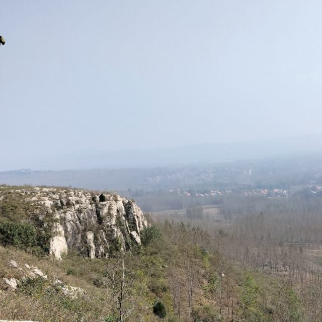 DJ安先生⚡洪荒之力（越南鼓） dj