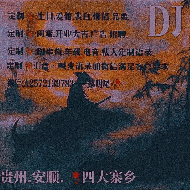 苏婷❗——.【首首好听】（黄昏）劲爆特效音频车载专用CD舒畅摇滚音乐超嗨重低音中文电音打碟舞曲酒吧暖场开场串烧