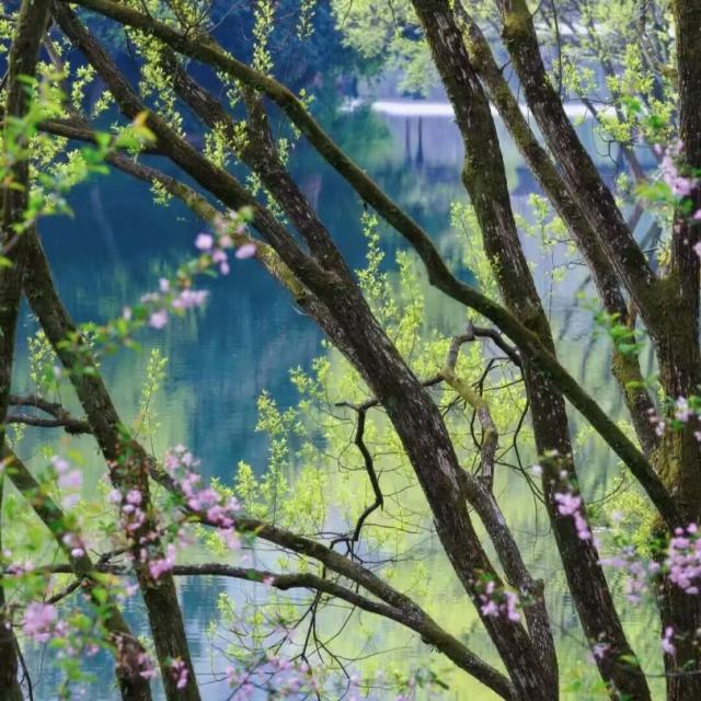 一口甜 天龙八部之宿敌