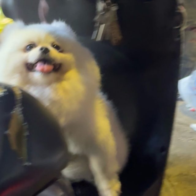 自始至终我想要的只是你一颗真心