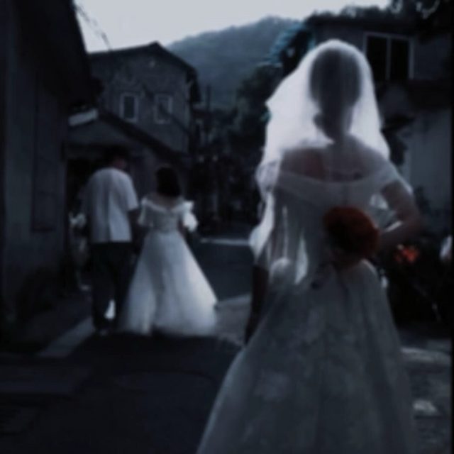 【山茶花读不懂白玫瑰DJ】 见过玫瑰花开么